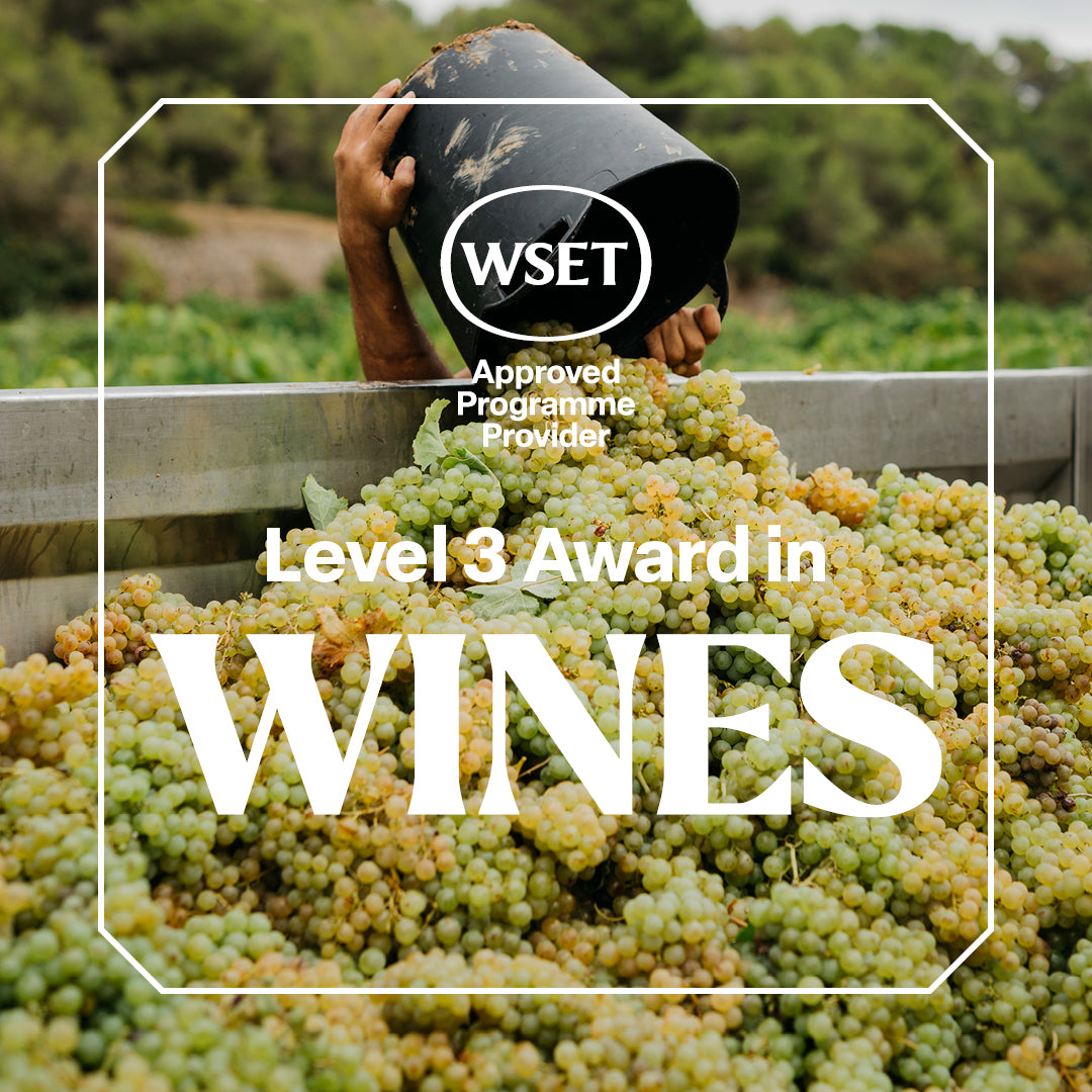 WSET Level 3 Award in Wines – Course in English in Paris